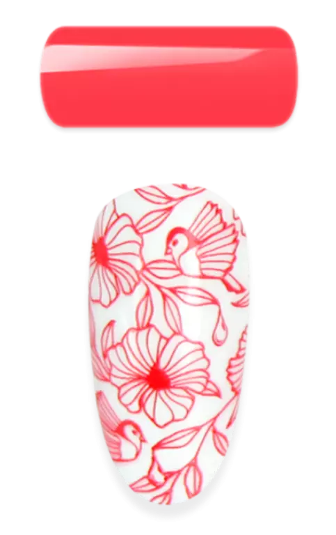 2in1 - Stamping & Painting Gel - Nr.12 - Vivid Red