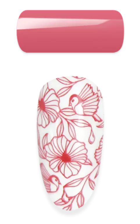 2in1 - Stamping & Painting Gel - Nr.14 - Rose